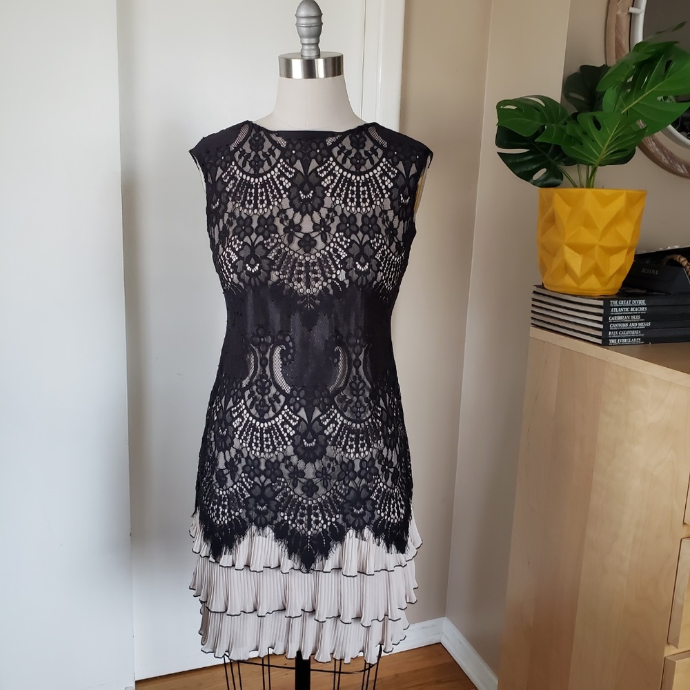 Beautiful Vintage Inspired Lace Sheer Panel Dress Size 6!